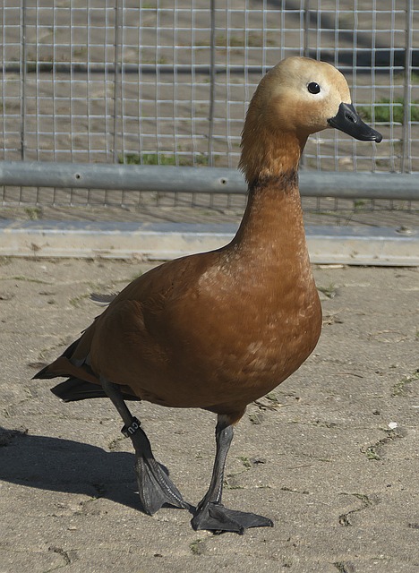 冲劲十足