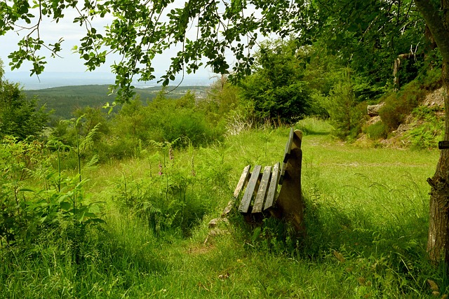 身体康复的 身体康复的