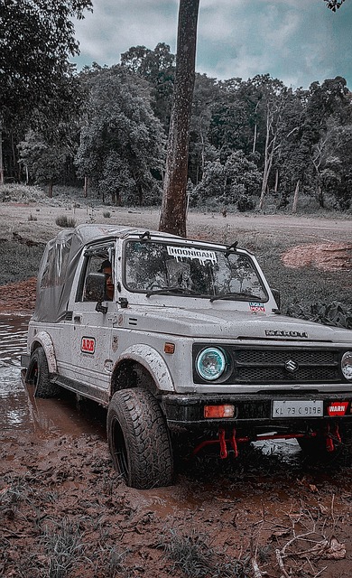 个重要赛事 个重要赛事