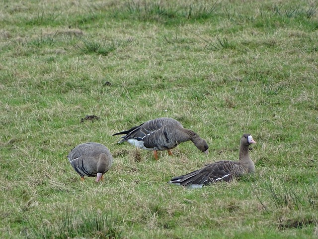 双方将就多 双方将就多