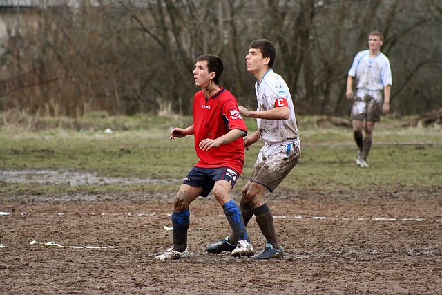 這次拍賣活 這次拍賣活